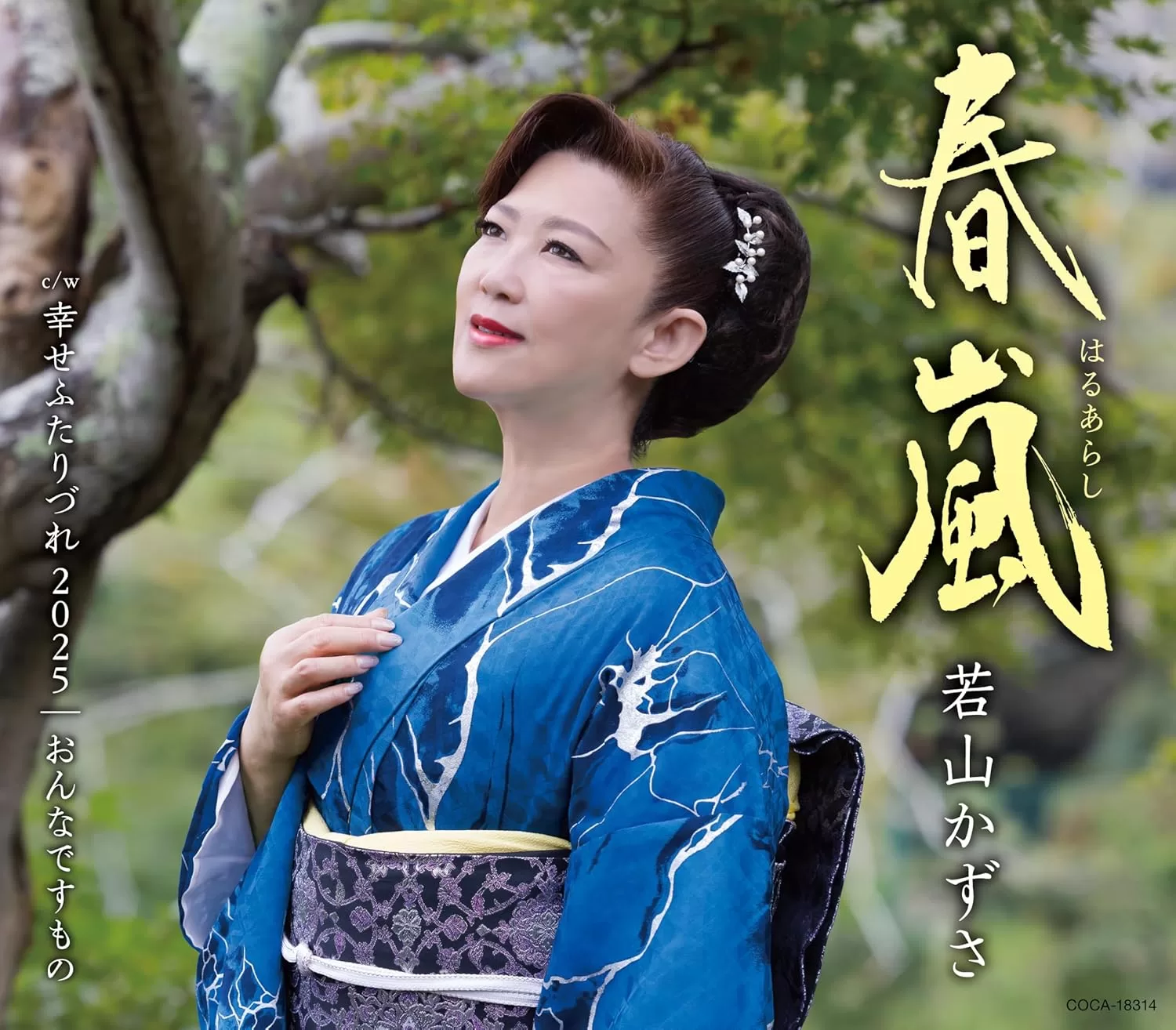 若山かずさ - 春嵐