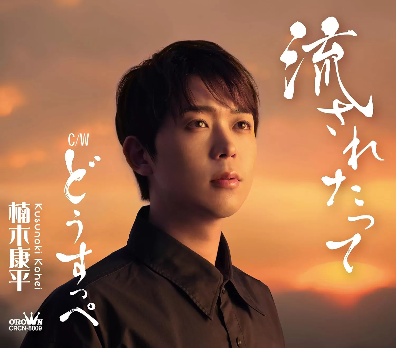 楠木康平 - 流されたって