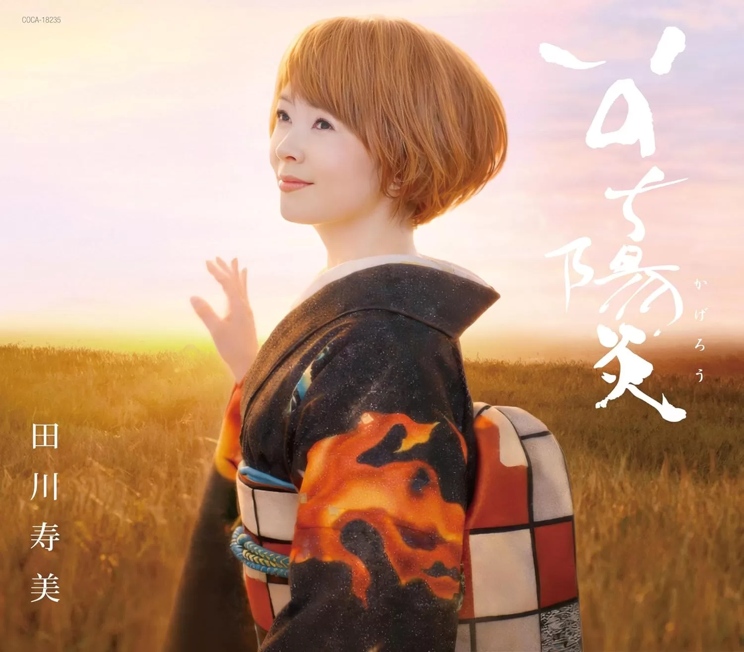 田川寿美 - いのち陽炎